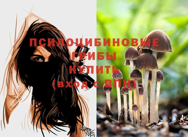 кокаин колумбия Дмитров