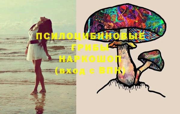 jwh Вязьма