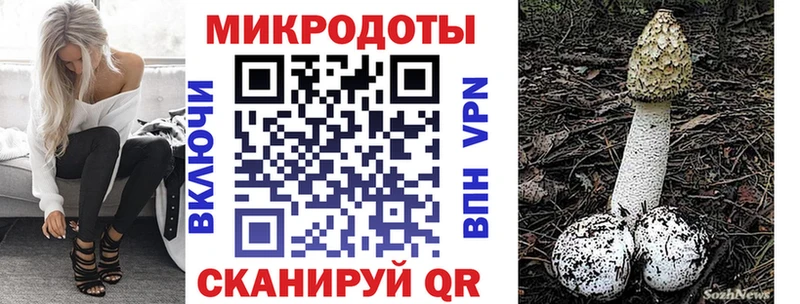 где продают наркотики Петропавловск-Камчатский Галлюциногенные грибы мухоморы